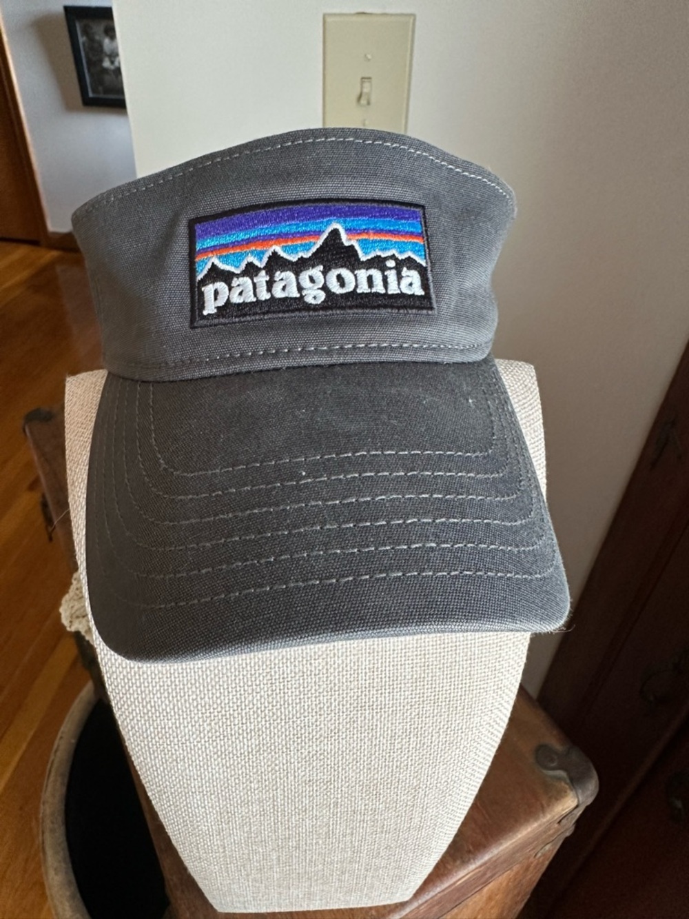 Patagonia Gray Visor with Multicolor Logo